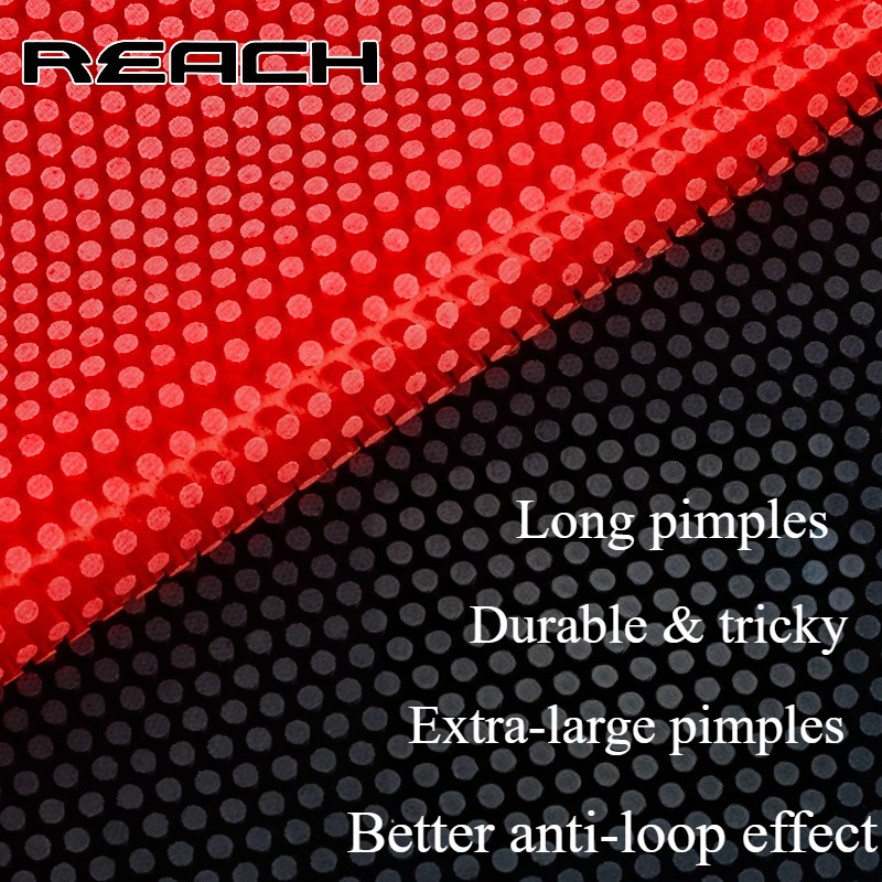 Reach C-8 C-801 Table-tennis R – Table Tennis Grip Bewertung und Preis