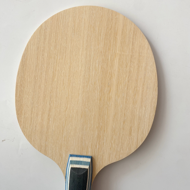 Lemuria VIS Carbon Fiber Table – Table Tennis Zhang Jike Bewertung und Preis